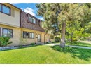 Multi unit property featuring roof with shingles, brick siding, a front yard, and mansard roof