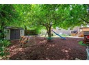 Backyard with Shed