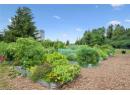 View of yard featuring a vegetable garden