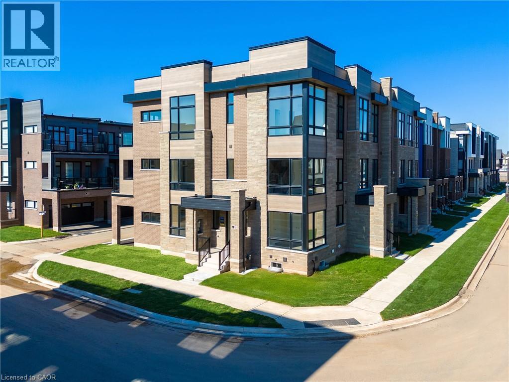 1341- Anthonia Trail