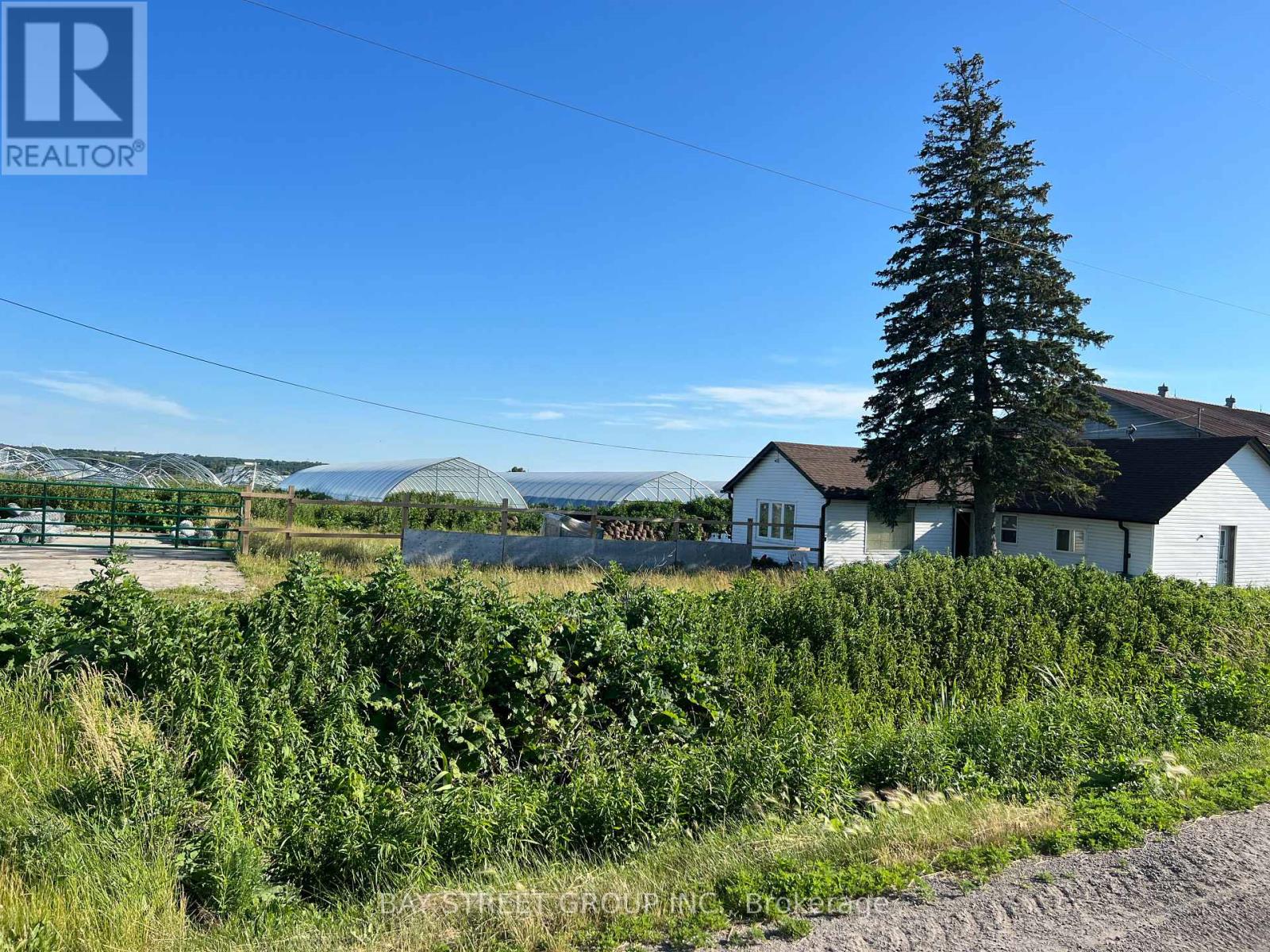 635- Strawberry Lane