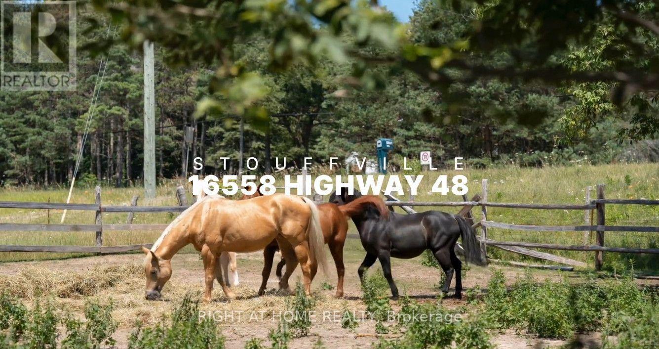 16558- Highway 48